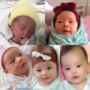 ข้าวหอมน้อย โตวันโตคืน