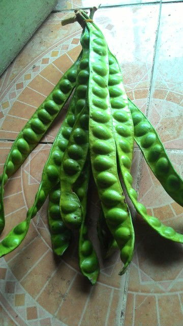 Gadis Kere profile icon