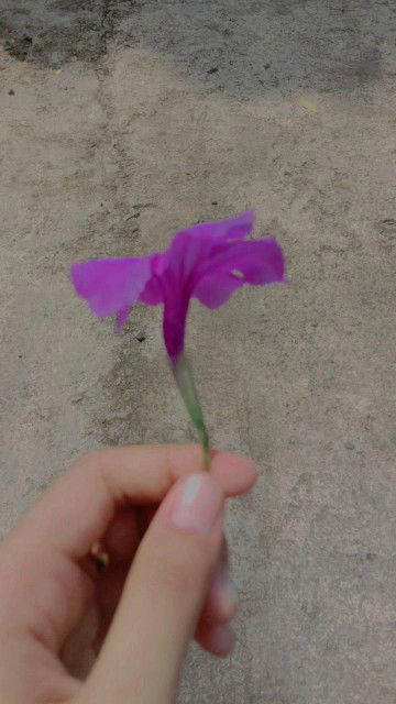 Wiidaa Lawrenc profile icon