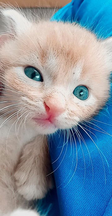 อุทุมพร นาคสุวรรณ์ profile icon