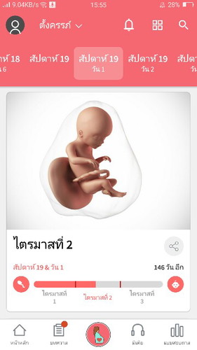 19w1d