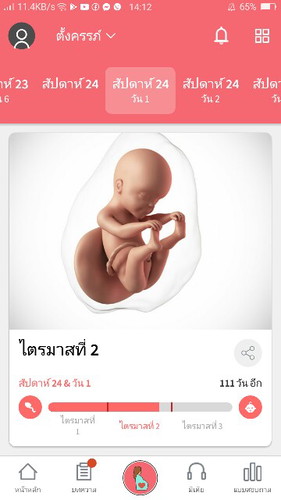 6เดือน