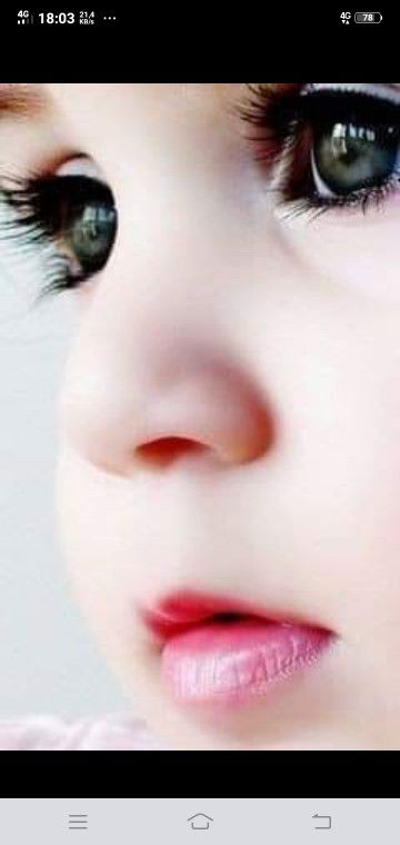 ifa Panda profile icon