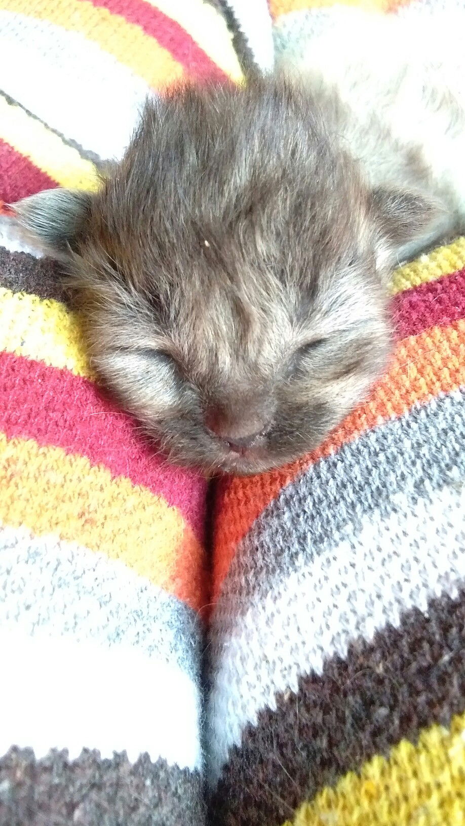 Nungky Fatichatus profile icon