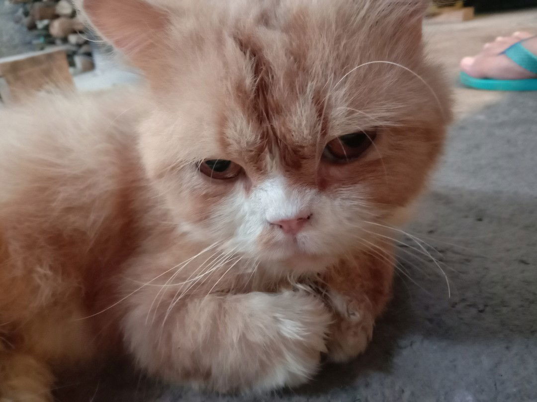 mommy Gavin profile icon