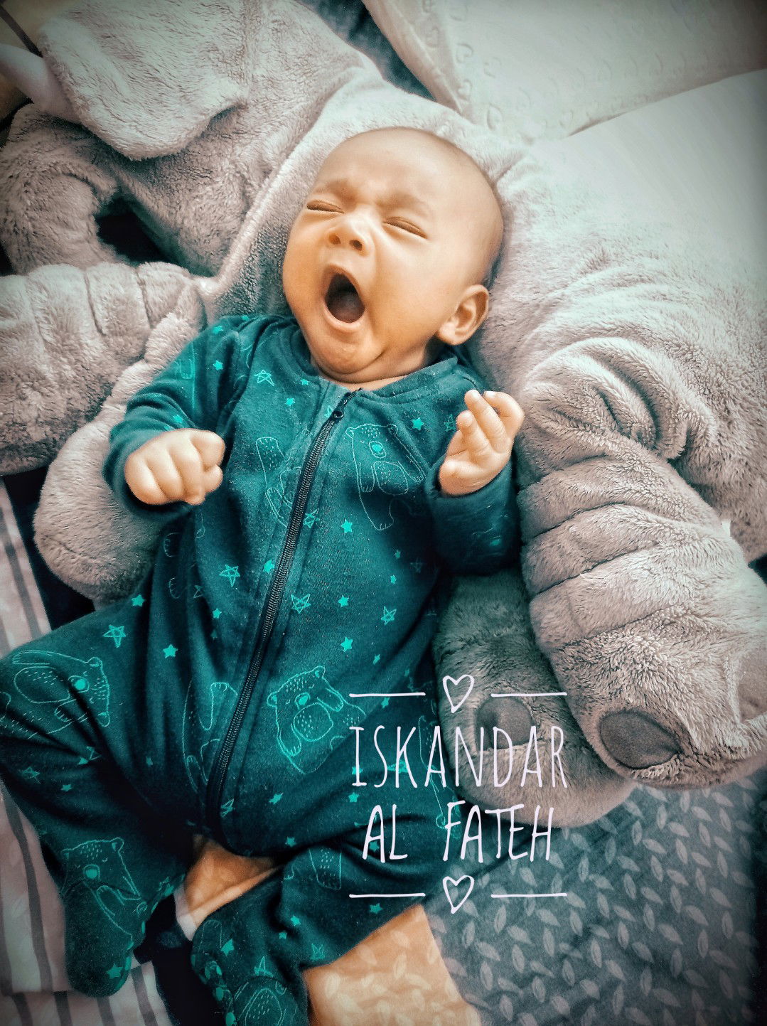 Ana Shelyana profile icon