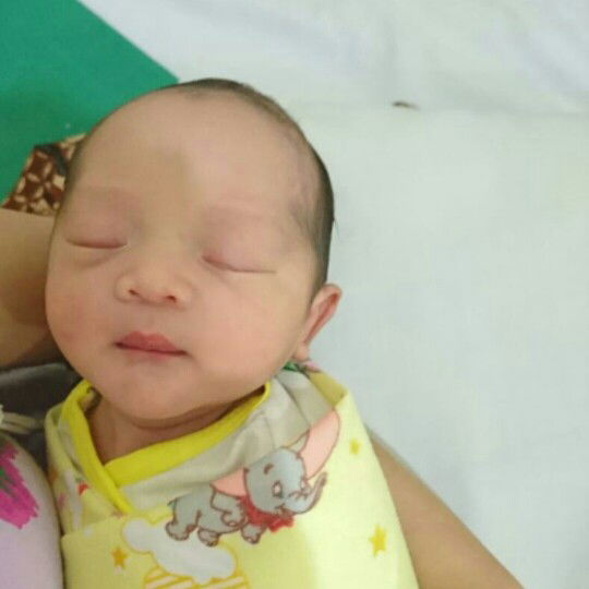 Diana Setiyowati profile icon