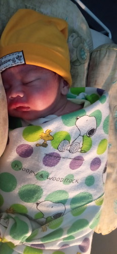 alhamdulilah telah lahir. baby boy