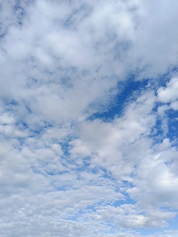 Namthip​ profile icon