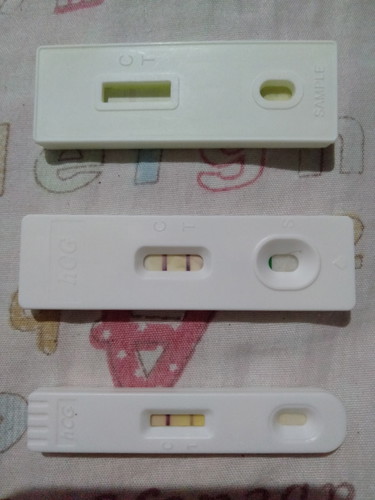 pregnancy test