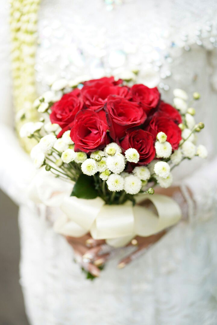 Aghnia Ilmi C. profile icon