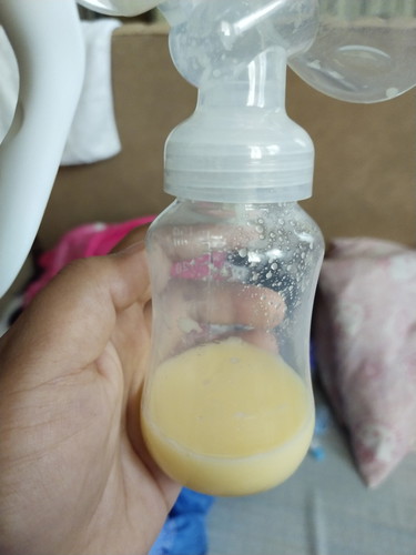 Kulay ng Gatas