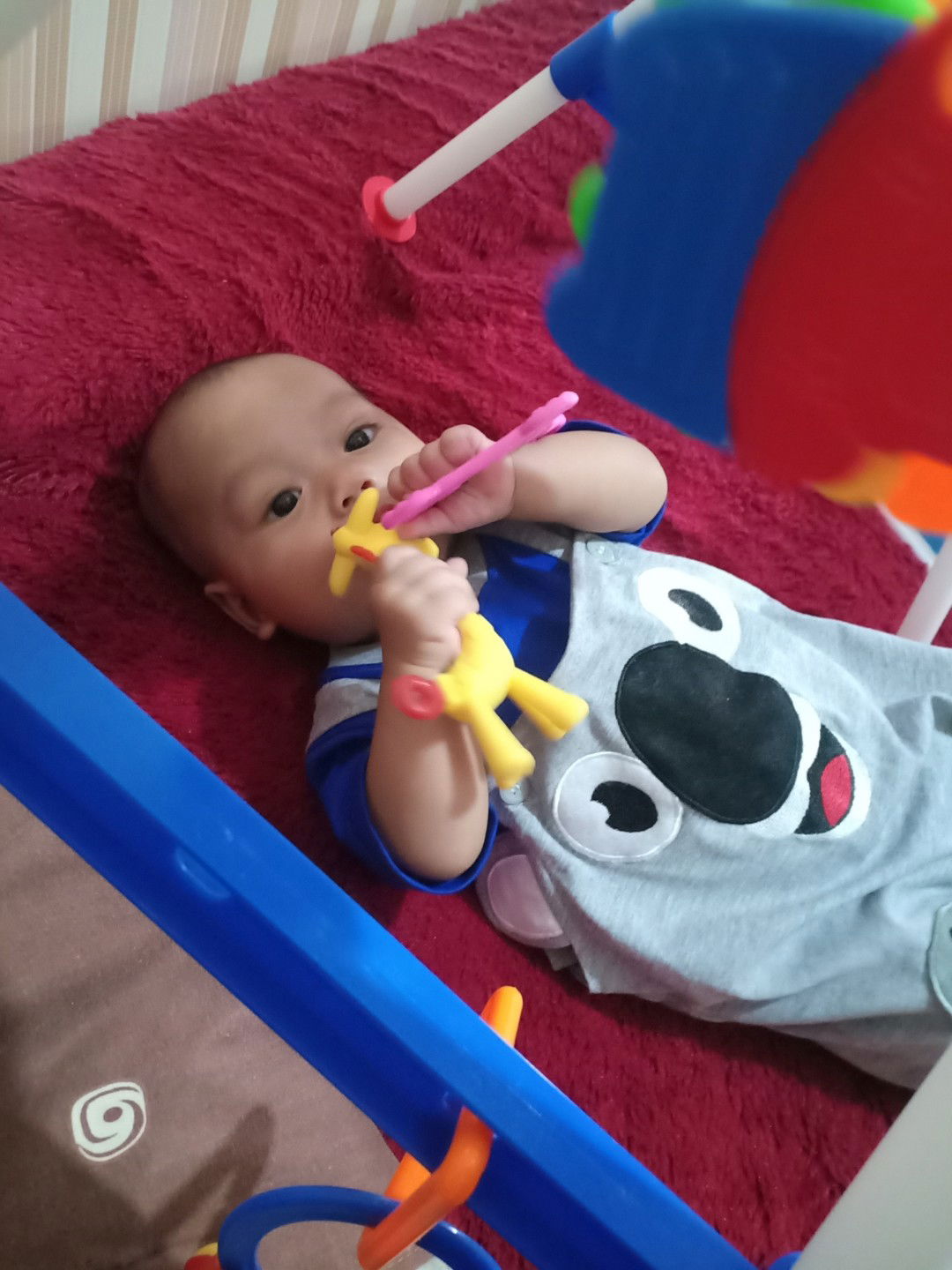 merk teether yang bagus dan cara merawatnya