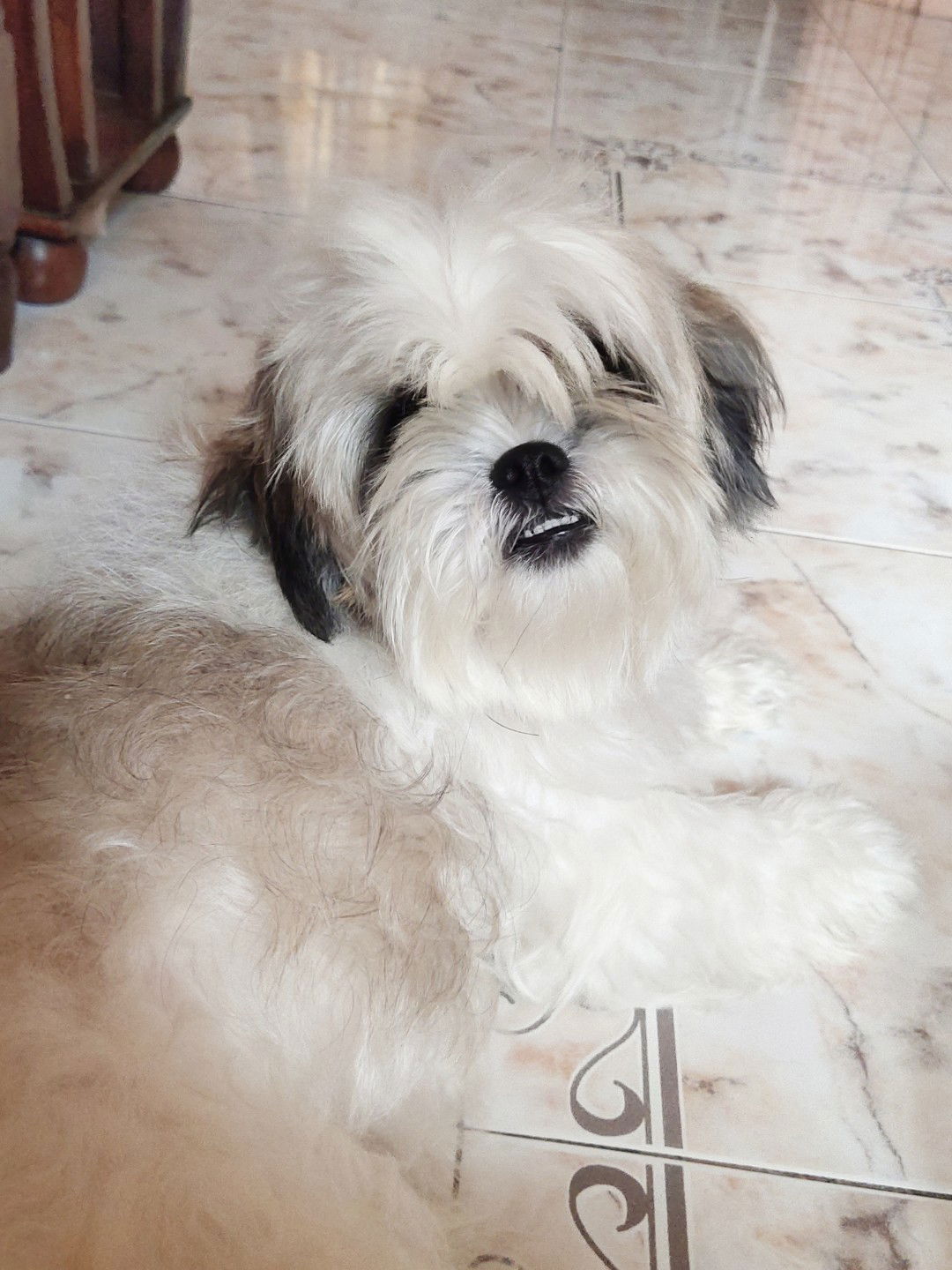 Anonymous profile icon