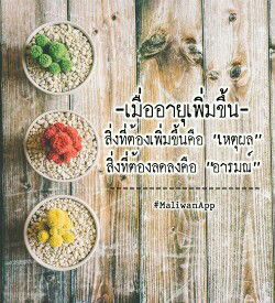 จ้าวตัวเล็ก. ..ของแม่ profile icon