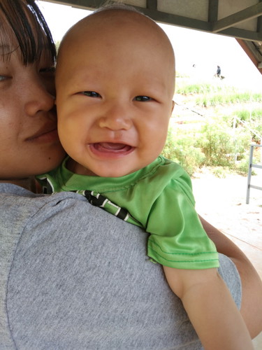 ฟันจะเริ่มออกกี่เดือน