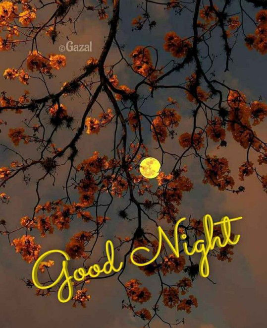 Rose 007 profile icon