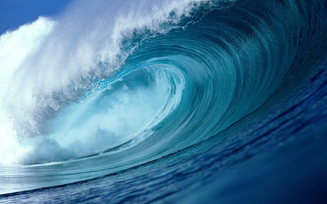 หมูอ้วน profile icon