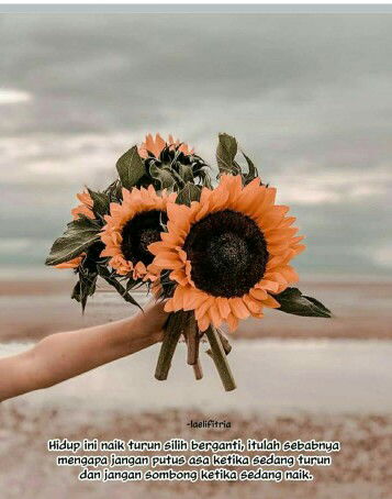 Tutty H profile icon