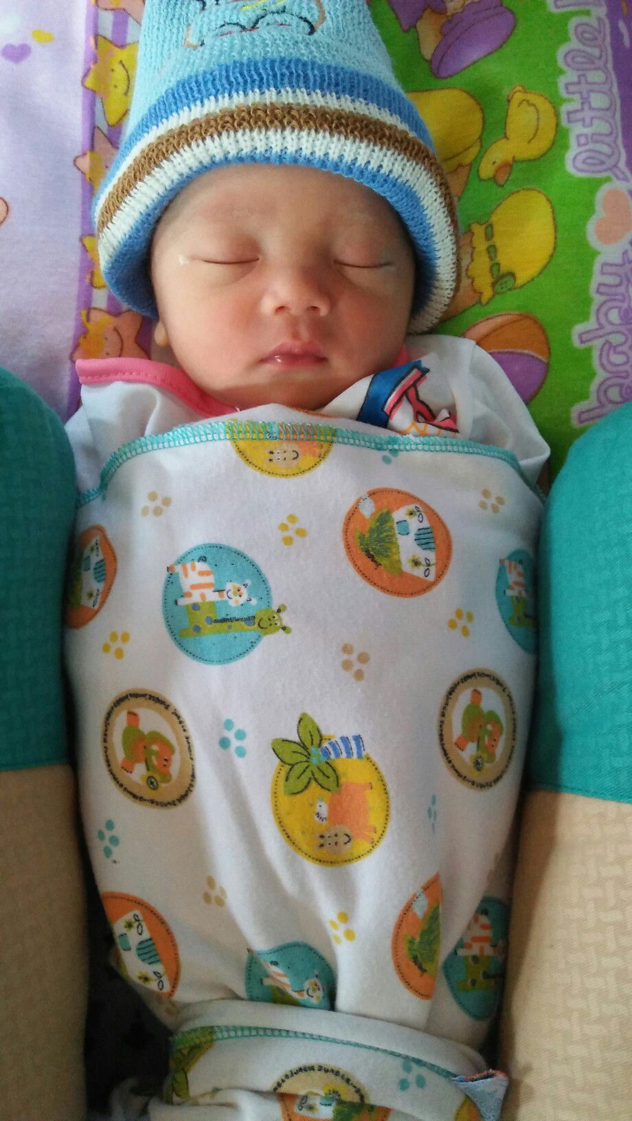 Pitri Anggraini profile icon