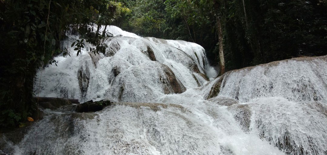 irmanyta profile icon