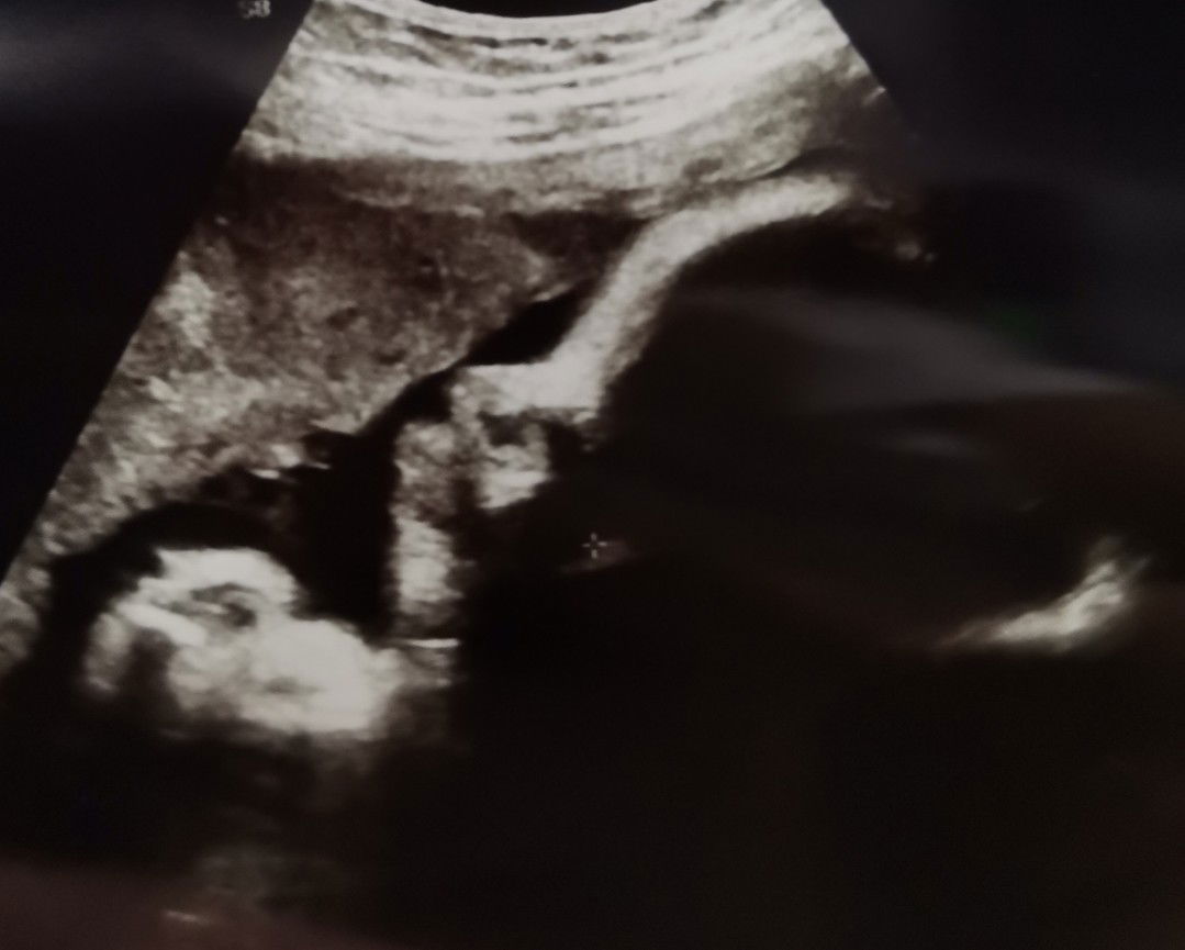 Sherian O. Morla-Fano profile icon