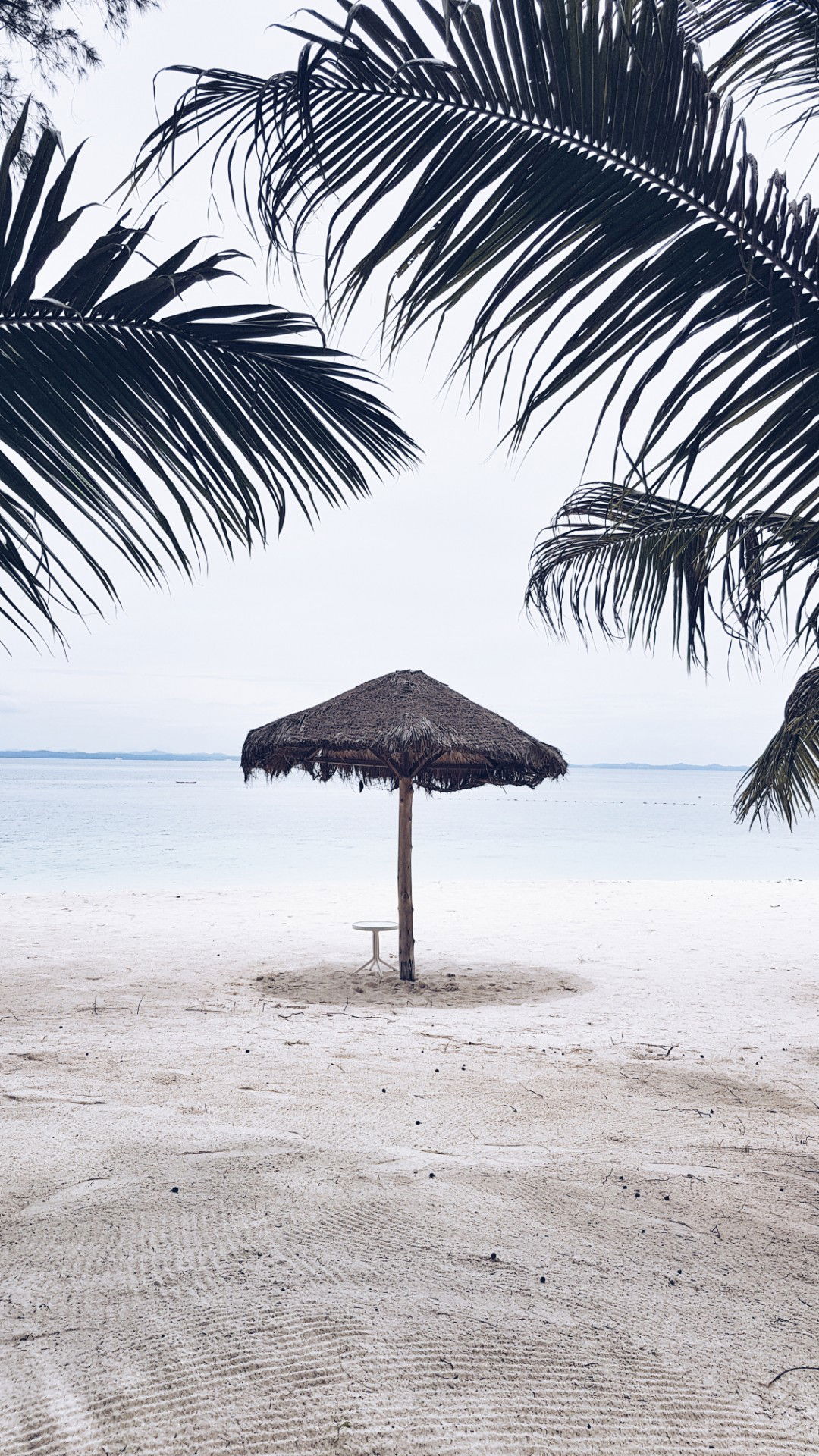 Butterflies profile icon