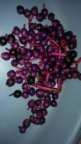 buah