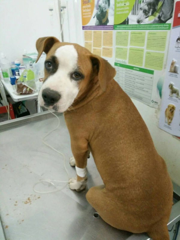 Impossible Ka profile icon