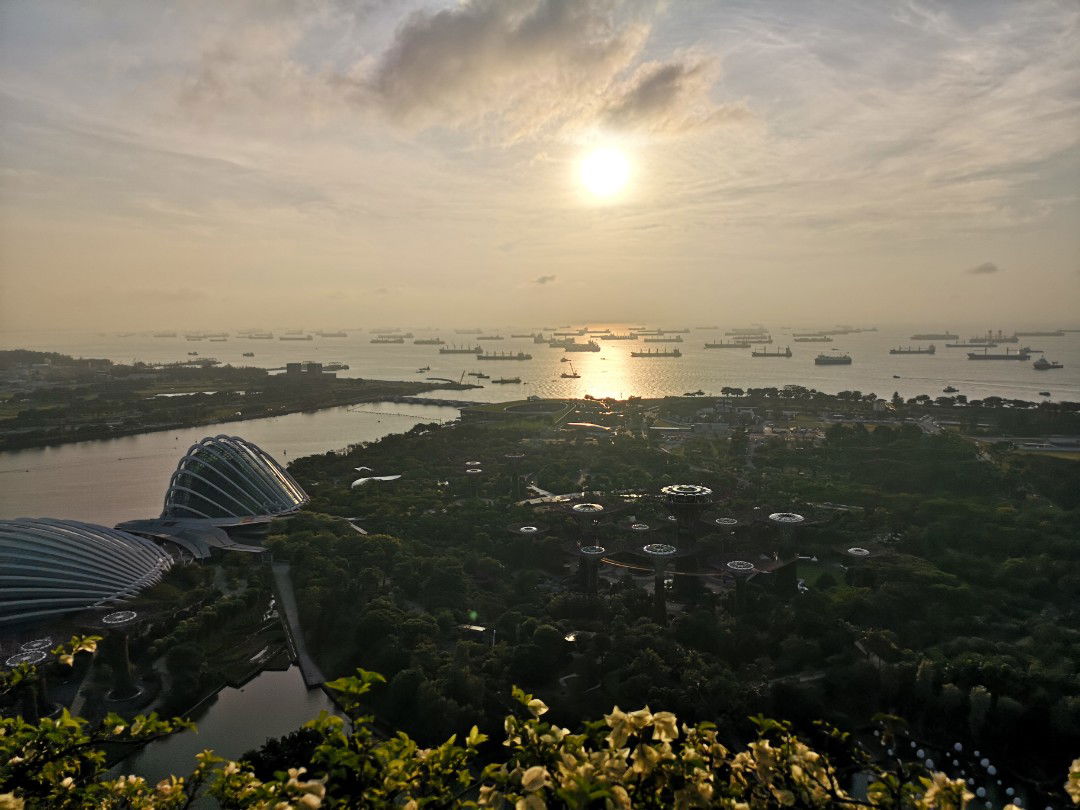 nora adams profile icon