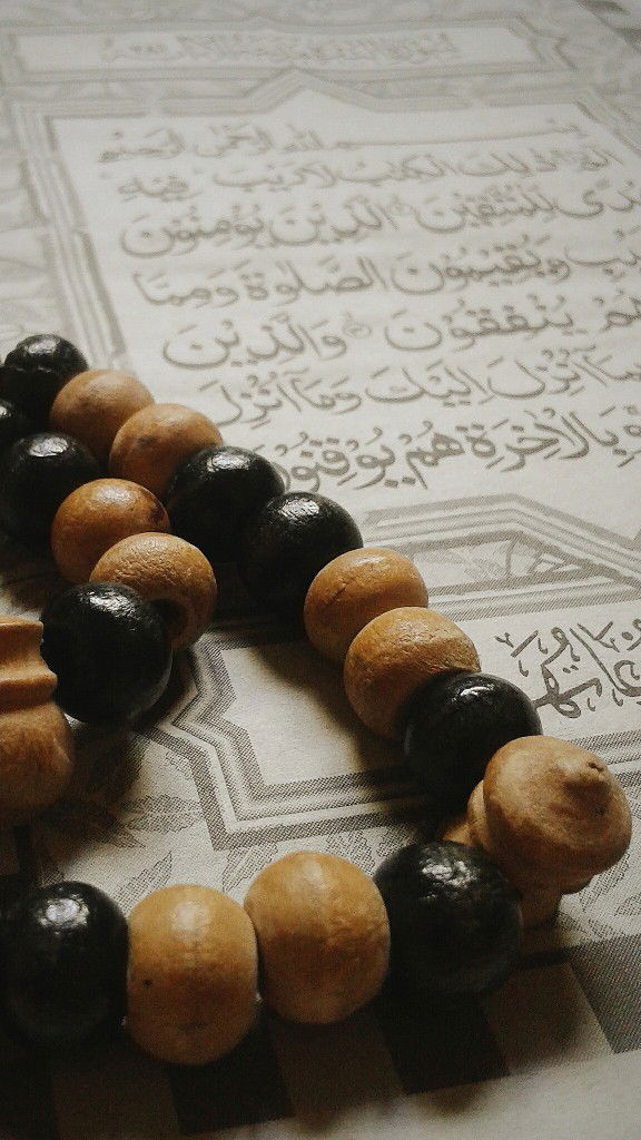 Diana Hafida profile icon