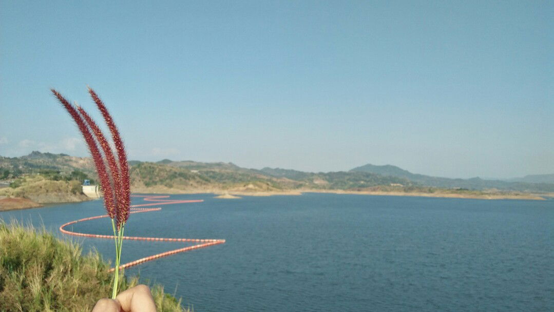 ita malla profile icon