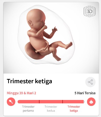 mendekati hpl