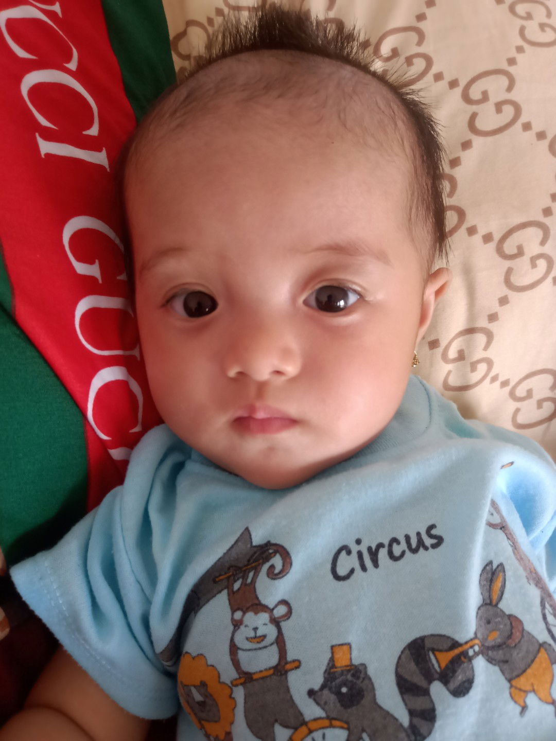 Ades Sania profile icon