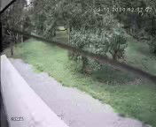 Ton khao profile icon