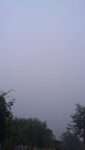 Nova Mutiara profile icon