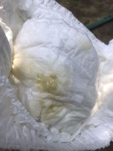 สอบถามหน่อยครับ