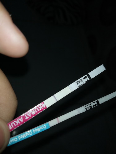 ga haid tp garis 1 kenapa ya