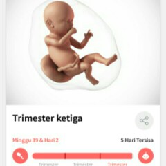 hpl 5 hari lagi