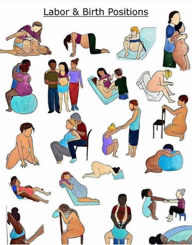 Labor Position