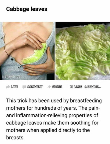 Cabbage leaves ?