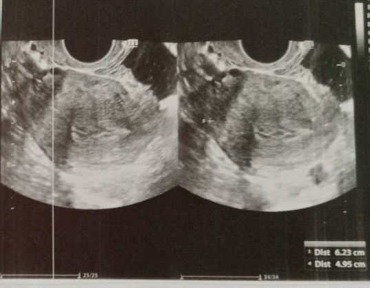 Jub Jub profile icon