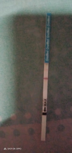 bingung