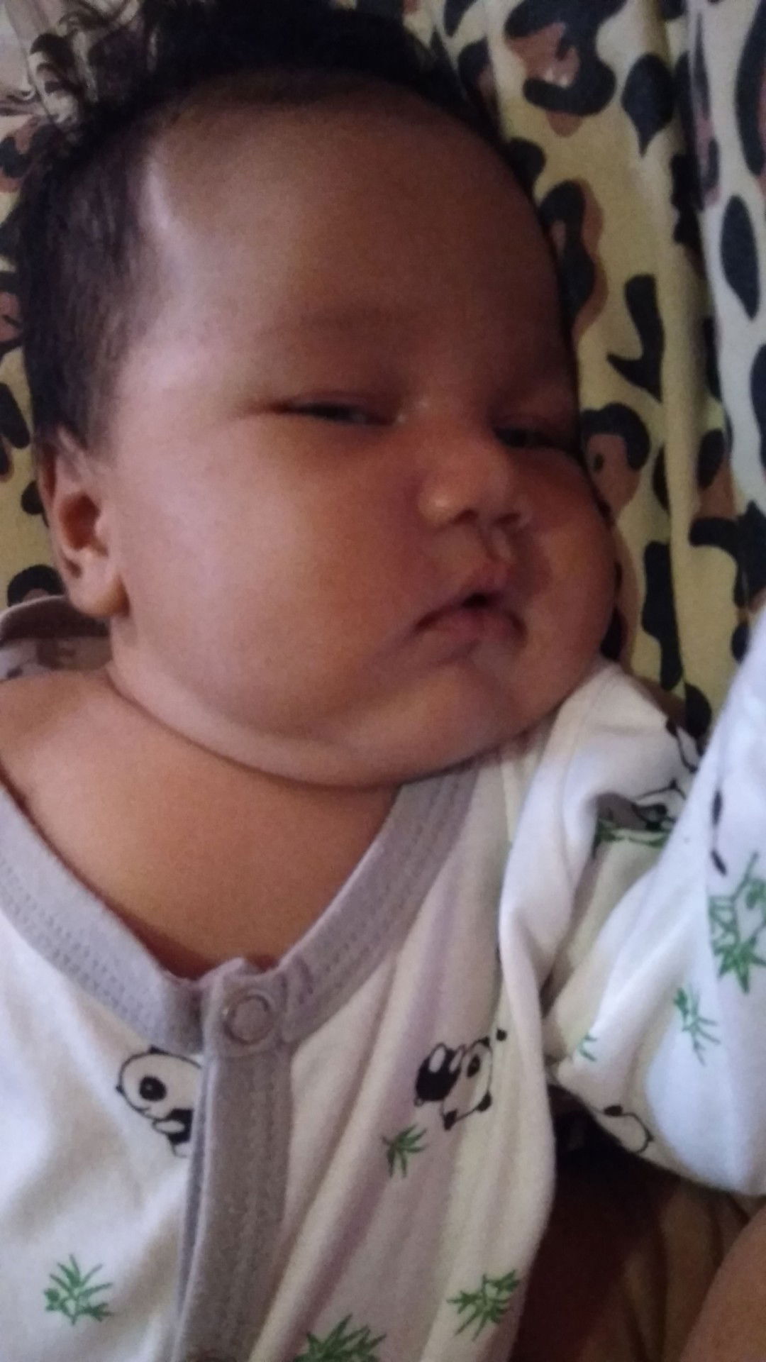 NGECILIN PERUT YG BERGELAMBIR??