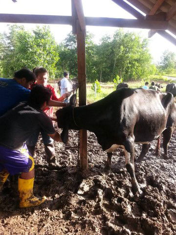 ขันติวัฒนะภาคิน พ. profile icon