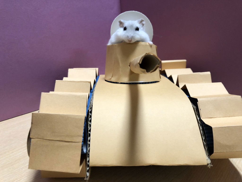 ฉันเข้าแอคเก่าไม่ได้ profile icon