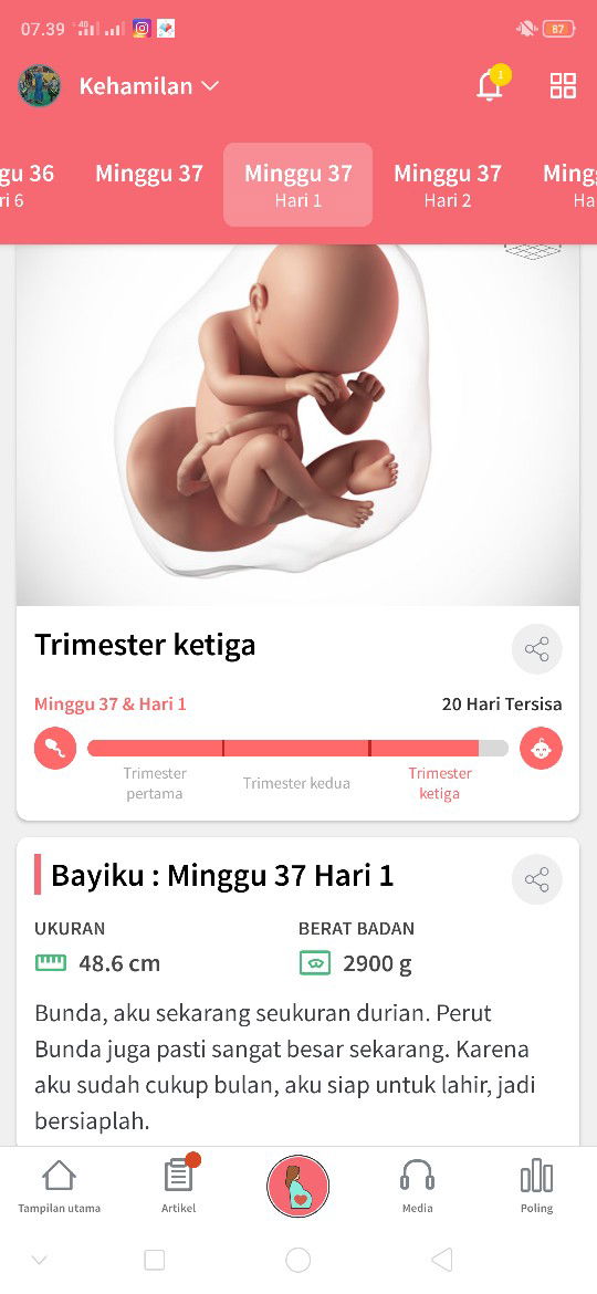 hamil ke 2 setelah BO