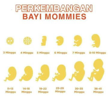 wah,jom share da berapa weeks?