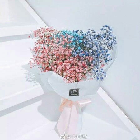 อิ๋ว อิ๋ว อสูรน้อยแสนงอน profile icon