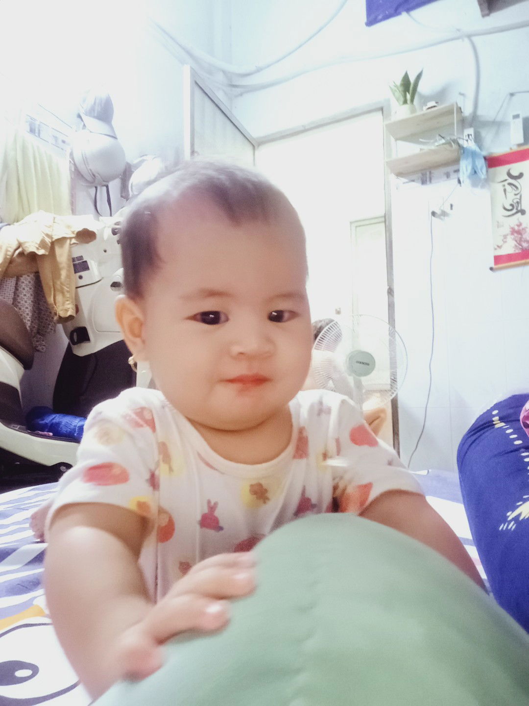 võ nguyệt cát profile icon